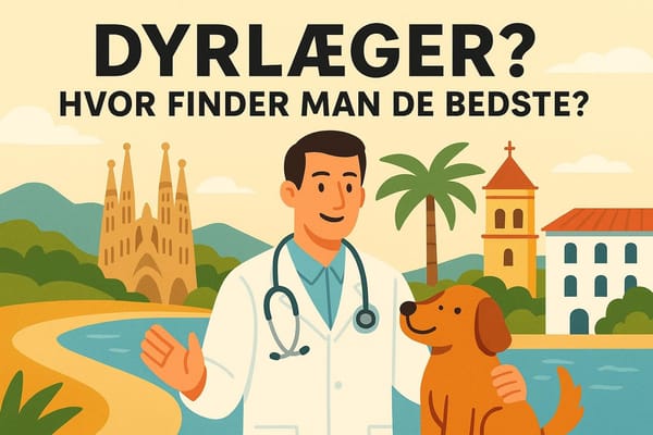 Dyrlæger? Hvor finder man de bedste?