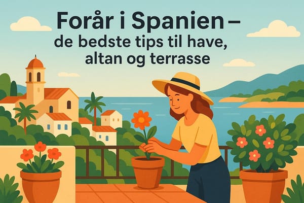 Forår i Spanien – de bedste tips til have, altan og terrasse